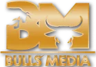 bulls-media